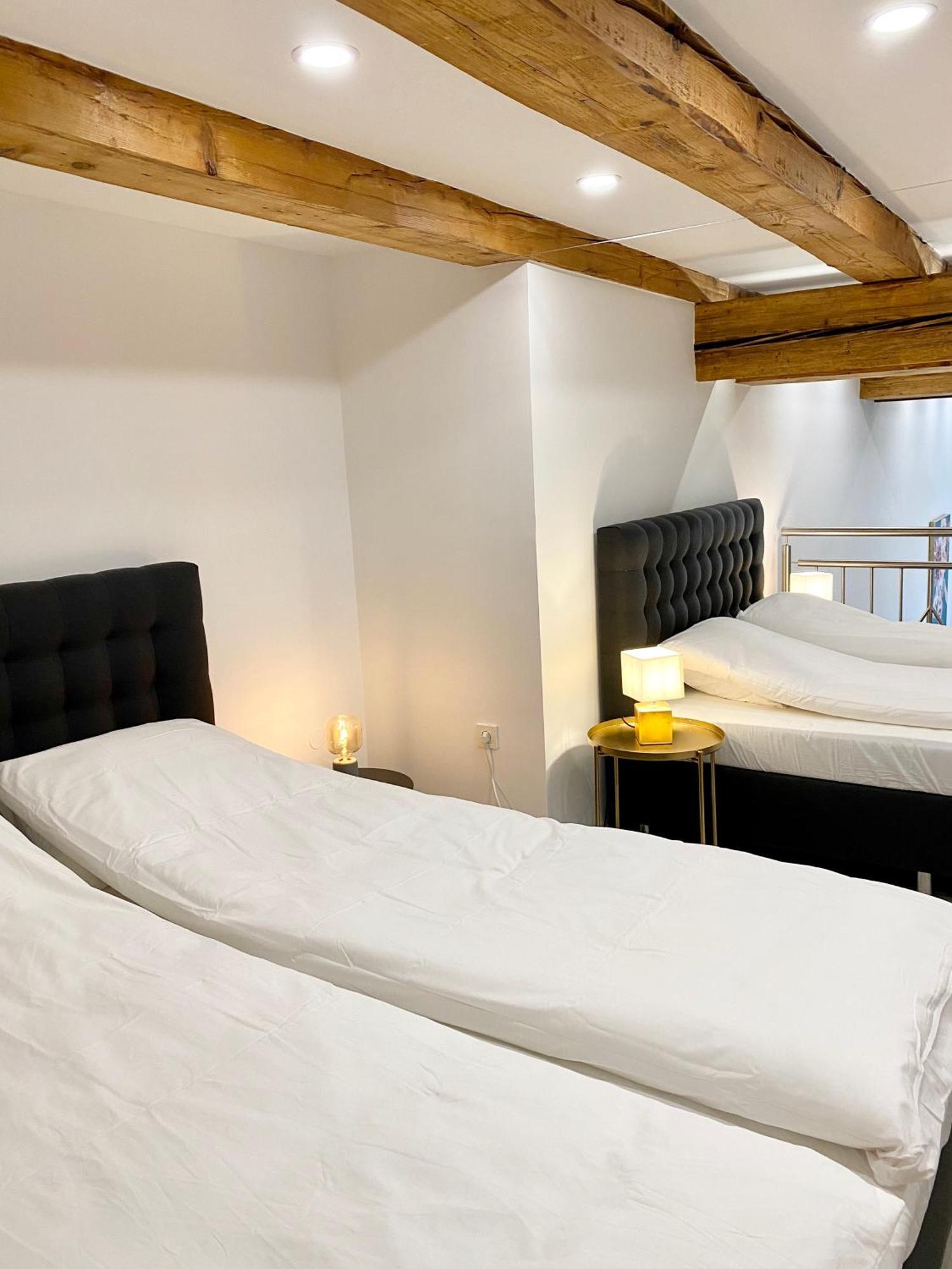Jungle Loft - Central/Free Parking Liubliana Exterior foto