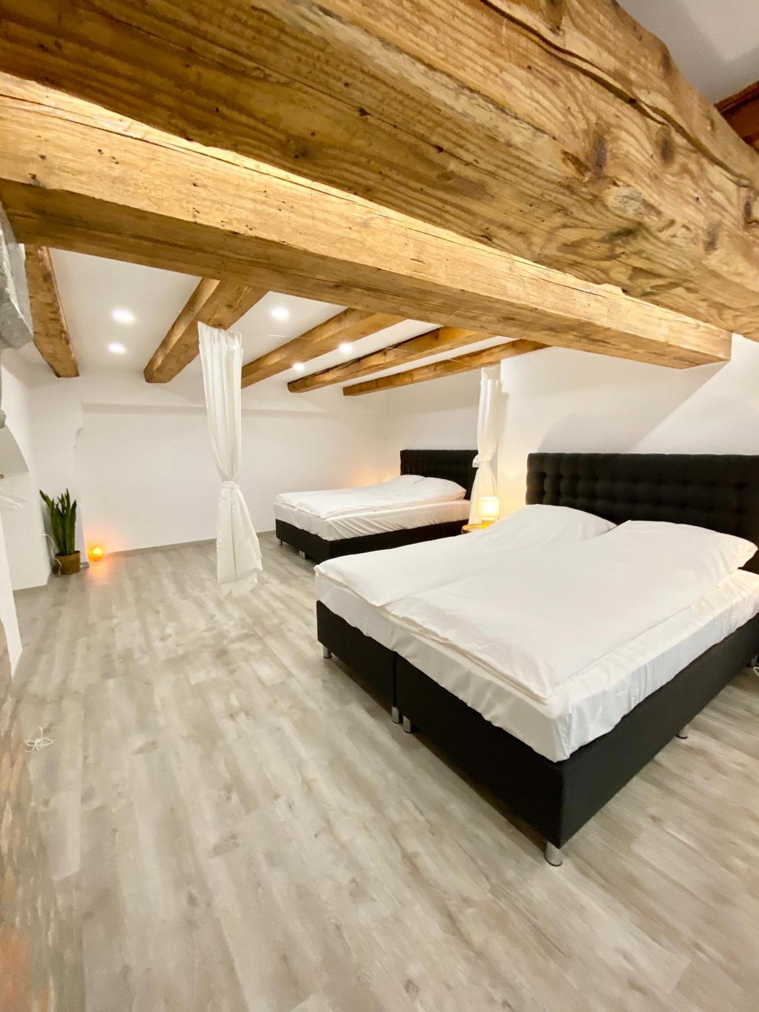 Jungle Loft - Central/Free Parking Liubliana Exterior foto